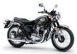 Kawasaki W 800 (2021 - 24) nuova