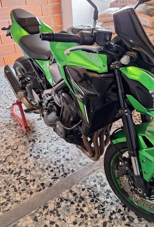 Kawasaki Z 900 (2017 - 18) (3)