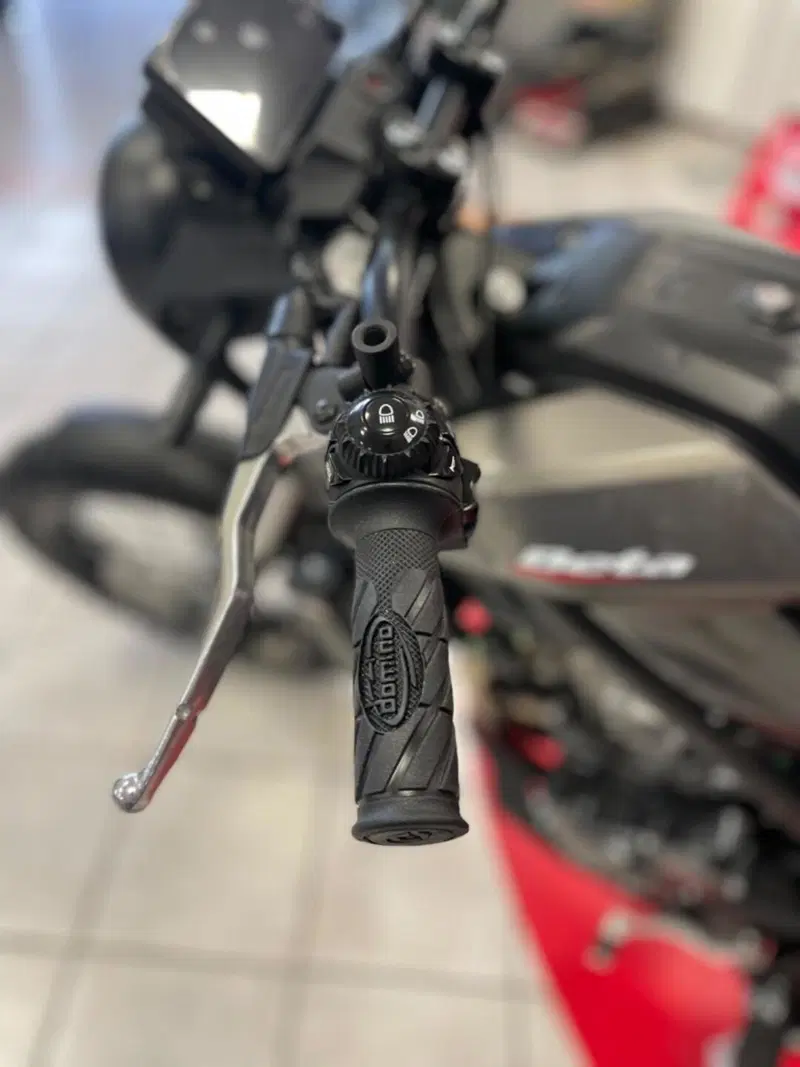 Betamotor Alp X (2024 - 26) (5)