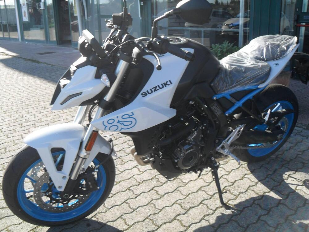 Suzuki GSX-8S (2023 - 24) (3)