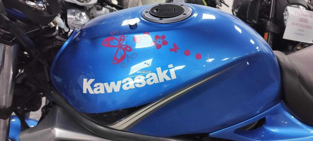 Kawasaki ER-5 500 (2001 - 06) (4)