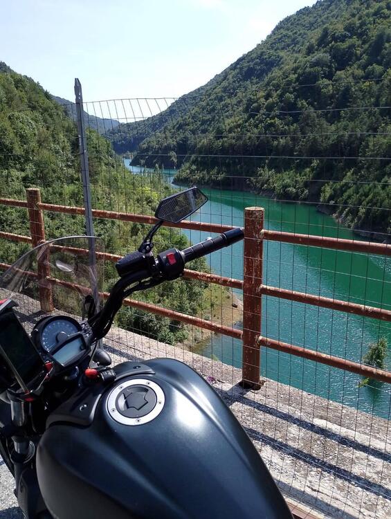 Kawasaki Vulcan S 650 (2017 - 20) (4)