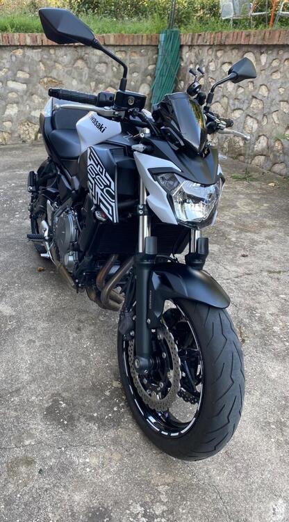 Kawasaki Z 650 (2020) (4)