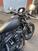 Harley-Davidson 883 Iron (2017 - 20) - XL 883N (6)