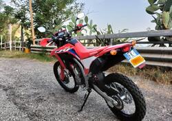 Honda CRF 300 L (2021 - 24) usata