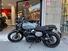 Triumph Scrambler 900 (2023 - 25) (8)