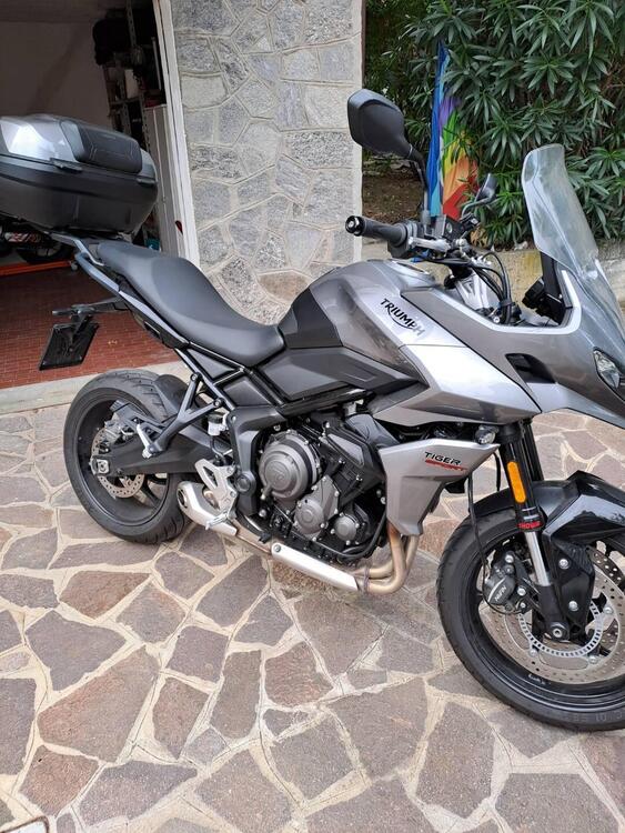 Triumph Tiger Sport 660 (2022 - 24) (3)