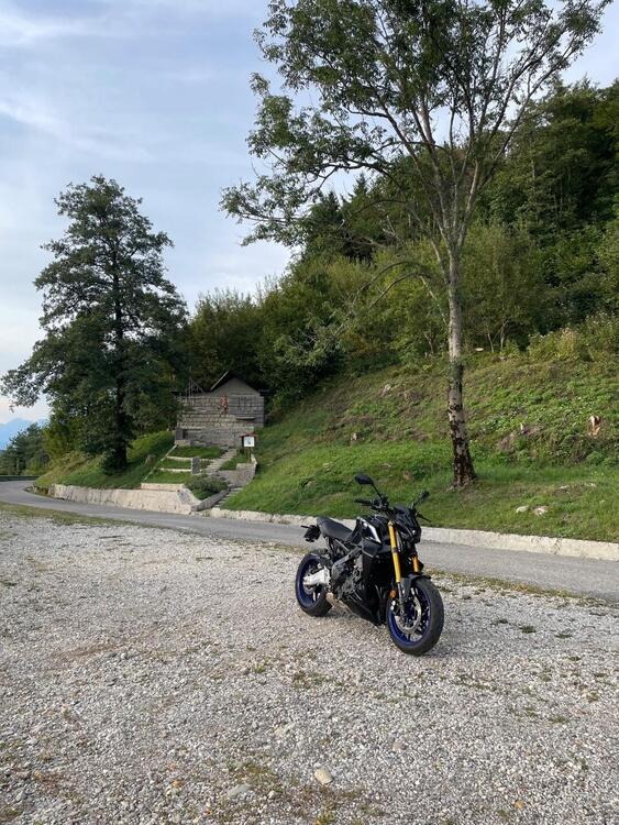 Yamaha MT-09 SP (2021 - 23) (5)