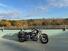 Harley-Davidson softail Heritage 1340 (8)