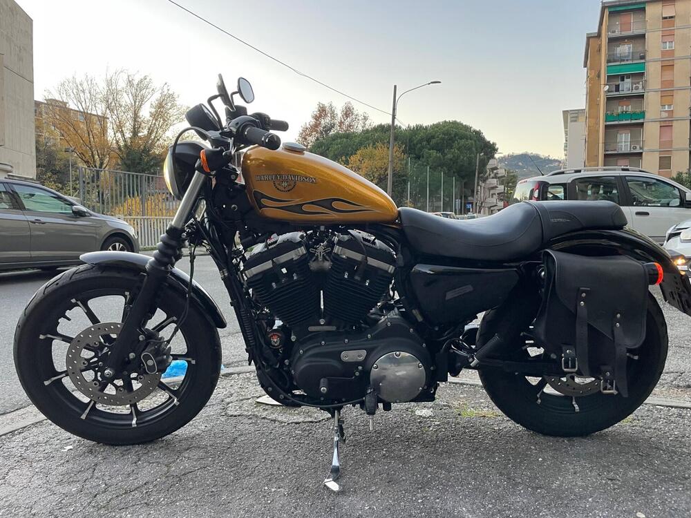 Harley-Davidson 883 Iron (2017 - 20) - XL 883N (3)