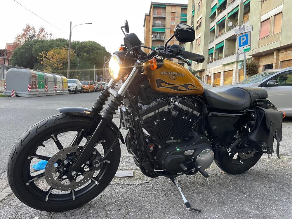 Harley-Davidson 883 Iron (2017 - 20) - XL 883N (5)