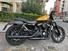 Harley-Davidson 883 Iron (2017 - 20) - XL 883N (11)