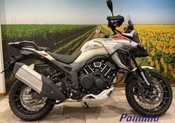 Morbidelli T1002VX (2024) nuova