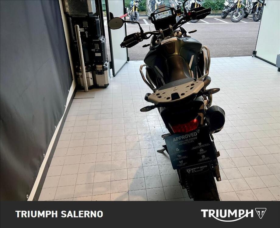 Triumph Tiger 900 Rally Pro (2020 - 23) (3)