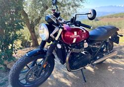 Triumph Street Twin 900 (2016) usata