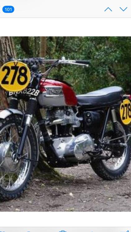 Triumph TR6 scrambler  (4)