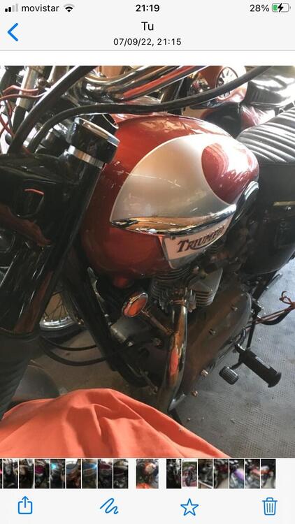 Triumph T120 Bonneville  (5)