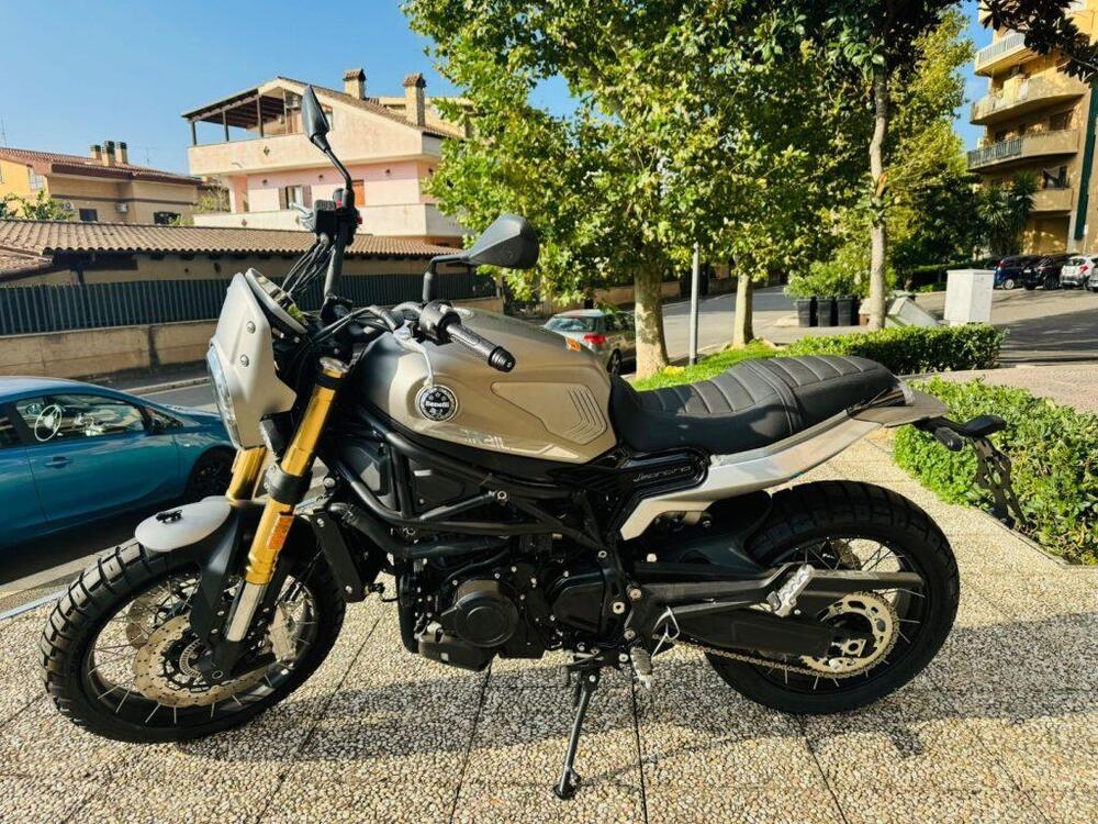 Benelli Leoncino 800 Trail (2022 - 24) (5)