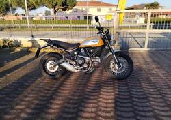 Ducati Scrambler 800 Classic (2015 - 16) usata