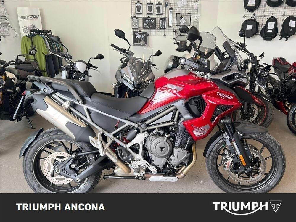 Triumph Tiger 1200 GT Pro (2024)