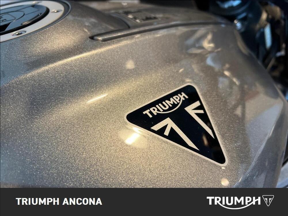 Triumph Street Triple R (2020 - 23) (3)