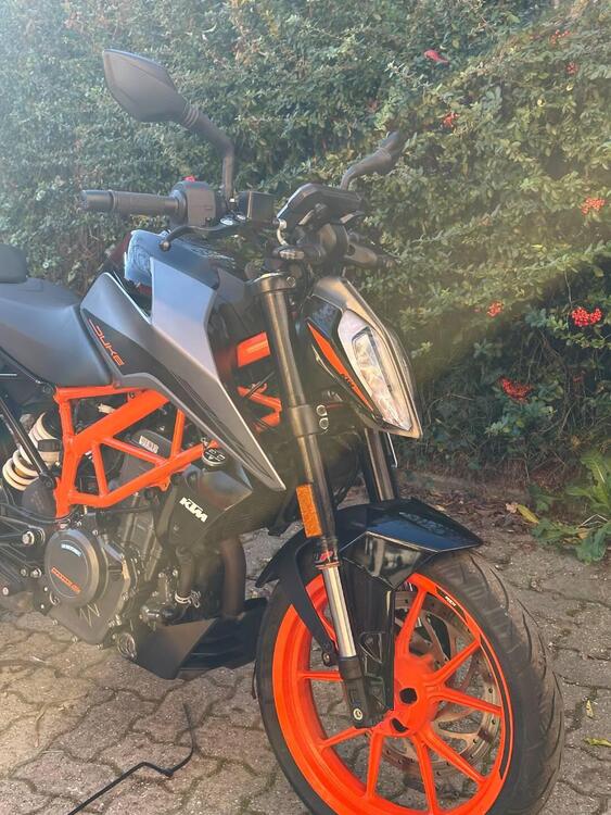 KTM 390 Duke (2021 - 23) (2)