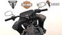 Harley-Davidson Low Rider ST (2022 - 24) (9)