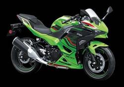 Kawasaki Ninja 500 (2024 - 25) nuova