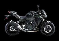 Kawasaki Z 500 (2024 - 25) nuova