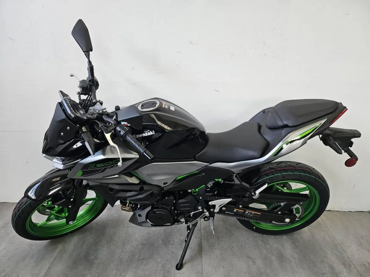Kawasaki Z 500 SE (2024 - 26) (2)