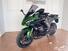 Kawasaki Ninja 1000 SX Performance (2021 - 24) (6)