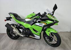 Kawasaki Ninja 500 SE (2024 - 25) nuova