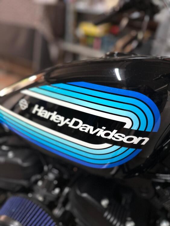 Harley-Davidson 1200 Iron (2018 - 20) - XL1200N (2)