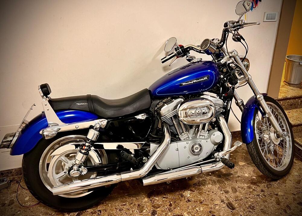 Harley-Davidson 883 Custom (2008 - 12) - XL 883C (2)