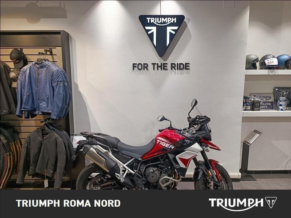 Triumph Tiger 900 GT Aragón Edition (2023 - 24)