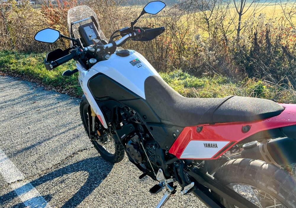 Yamaha Ténéré 700 (2019 - 20) (3)