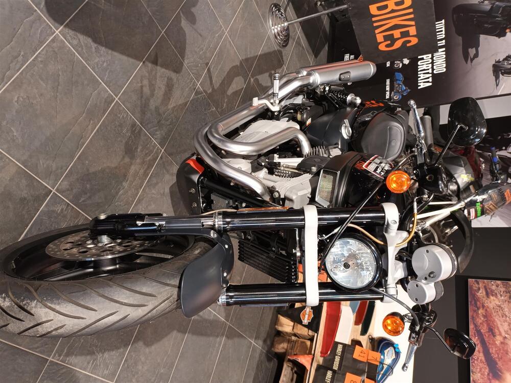 Harley-Davidson 1200 XR (2009 - 12) (3)