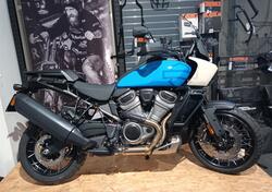 Harley-Davidson Pan America 1250 Special (2020 - 24) usata