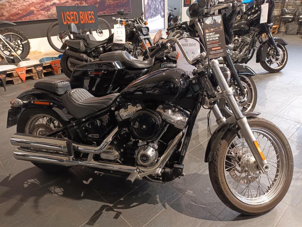 Harley-Davidson Softail Standard (2021 - 24)