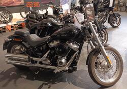 Harley-Davidson Softail Standard (2021 - 24) usata