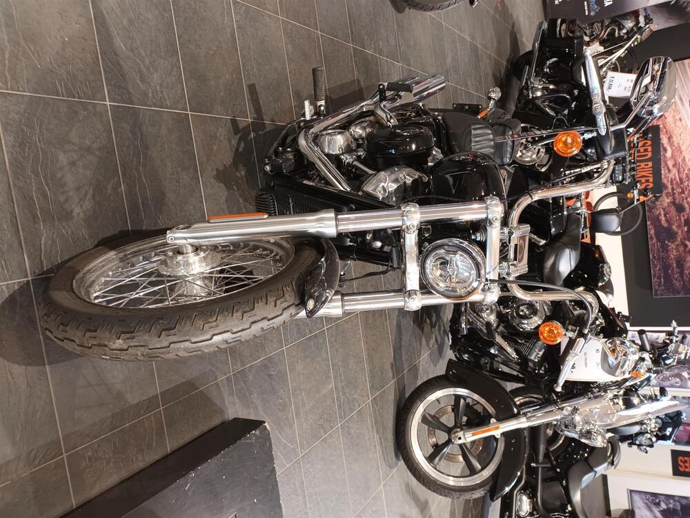 Harley-Davidson Softail Standard (2021 - 24) (3)