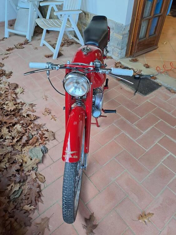 Moto Guzzi cardellino78 (5)