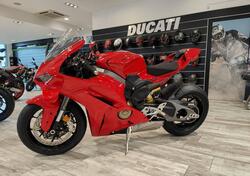 Ducati Panigale V4 (2025) nuova