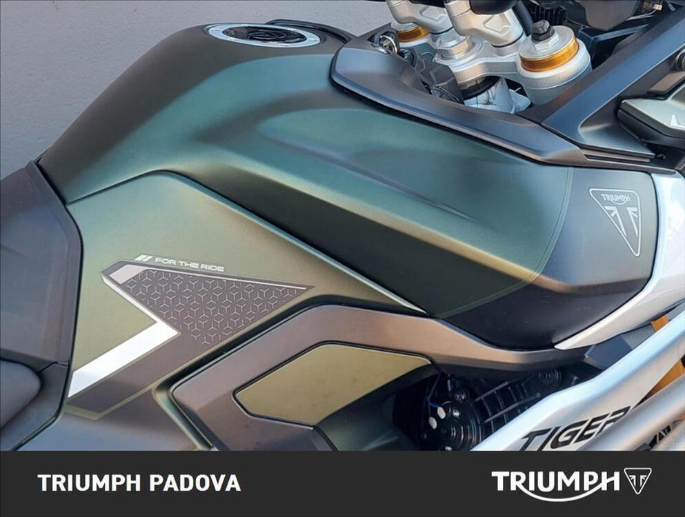 Triumph Tiger 900 Rally Pro (2024) (4)