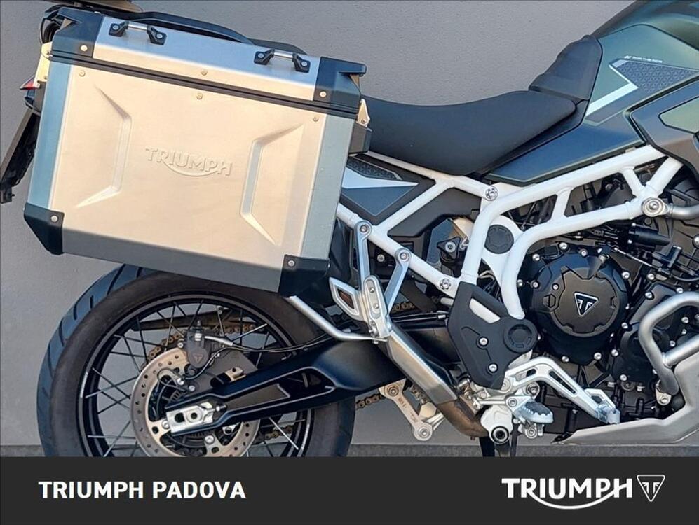 Triumph Tiger 900 Rally Pro (2024) (2)