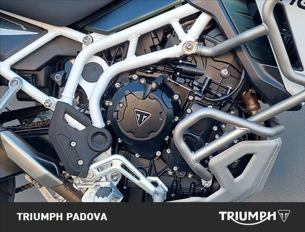 Triumph Tiger 900 Rally Pro (2024) (3)