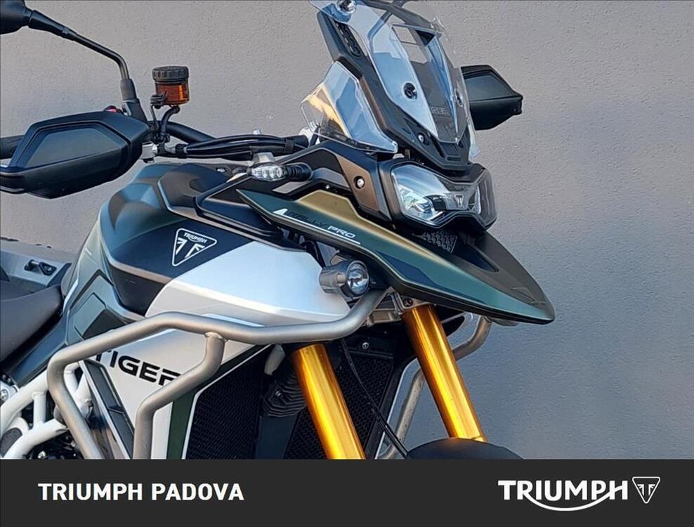 Triumph Tiger 900 Rally Pro (2024) (5)