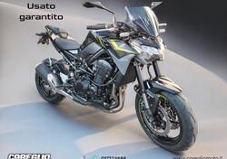 Kawasaki Z 900 (2021 - 24) usata