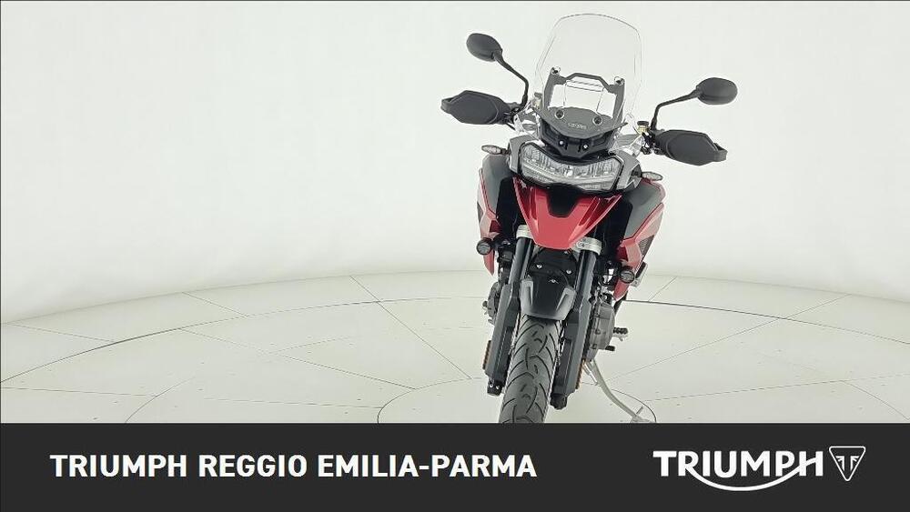 Triumph Tiger 1200 GT Pro (2024) (5)