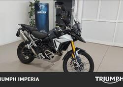 Triumph Tiger 900 Rally Pro (2024) usata